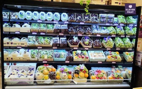 Klever Fruit luôn đồng hành cùng doanh nghiệp để lựa chọn giỏ Trái cây tặng Đối Tác phù hợp nhất