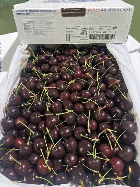 Cherry Mỹ Black Pearl - viên ngọc trai đen của mùa hè
