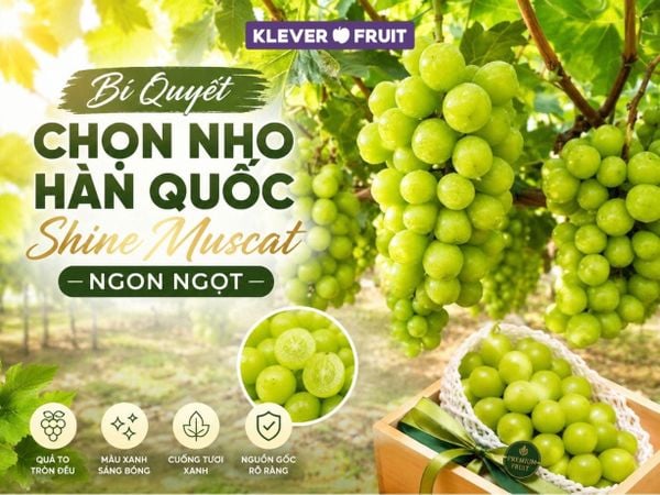 Bí Quyết Chọn Nho Hàn Quốc Shine Muscat Ngon Ngọt