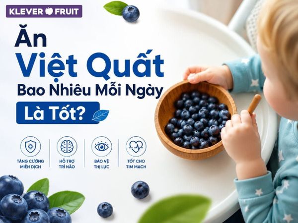 Ăn Việt Quất Bao Nhiêu Mỗi Ngày Là Tốt?