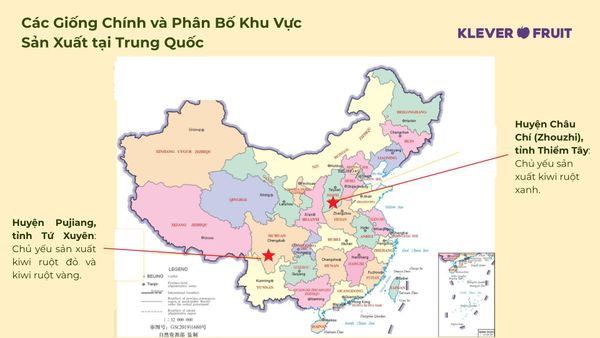 Nguon goc Kiwi Xanh Sugarpop