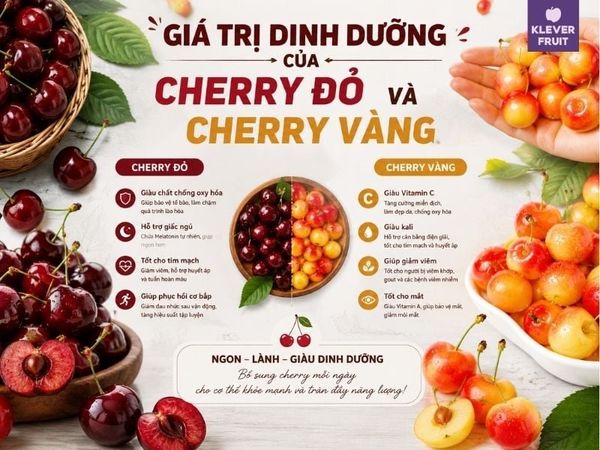 Phân biệt Cherry vàng và Cherry đỏ: Loại nào ngon hơn và phù hợp với bạn?