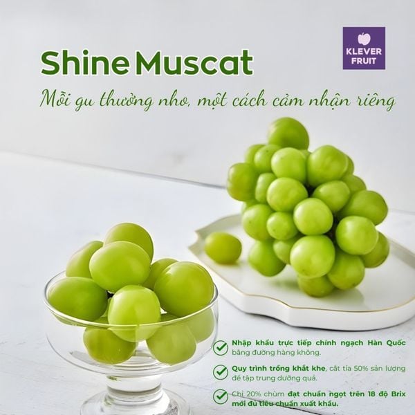 Nho mẫu đơn hàn quốc tại Klever Fruit