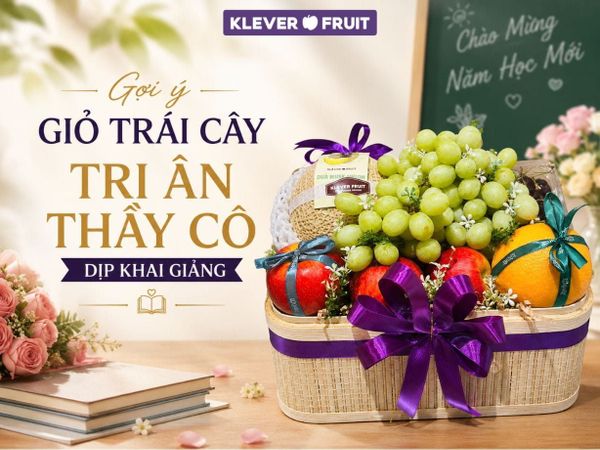 Gợi ý giỏ trái cây tri ân thầy cô dịp khai giảng