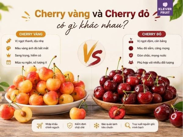 Phân biệt Cherry vàng và Cherry đỏ: Loại nào ngon hơn và phù hợp với bạn?