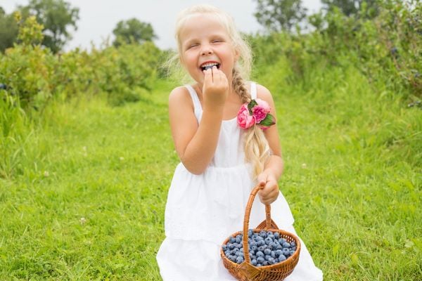 Quả việt quất ăn tươi sẽ giữ trọn được dinh dưỡng