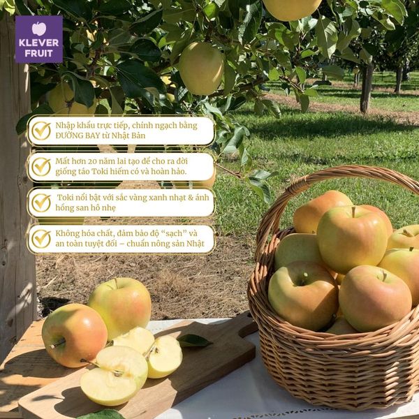 Táo Toki Nhật Bản Tại Klever Fruit