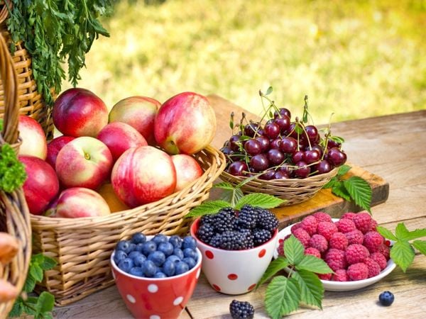 Trái cây đang mùa tại Klever Fruit