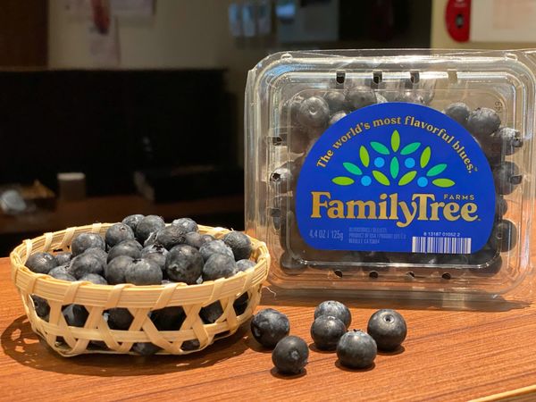 Việt Quất Mỹ Tại Klever Fruit