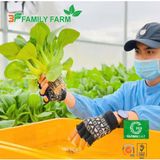 Hoạt động quảng bá, xúc tiến thương mại