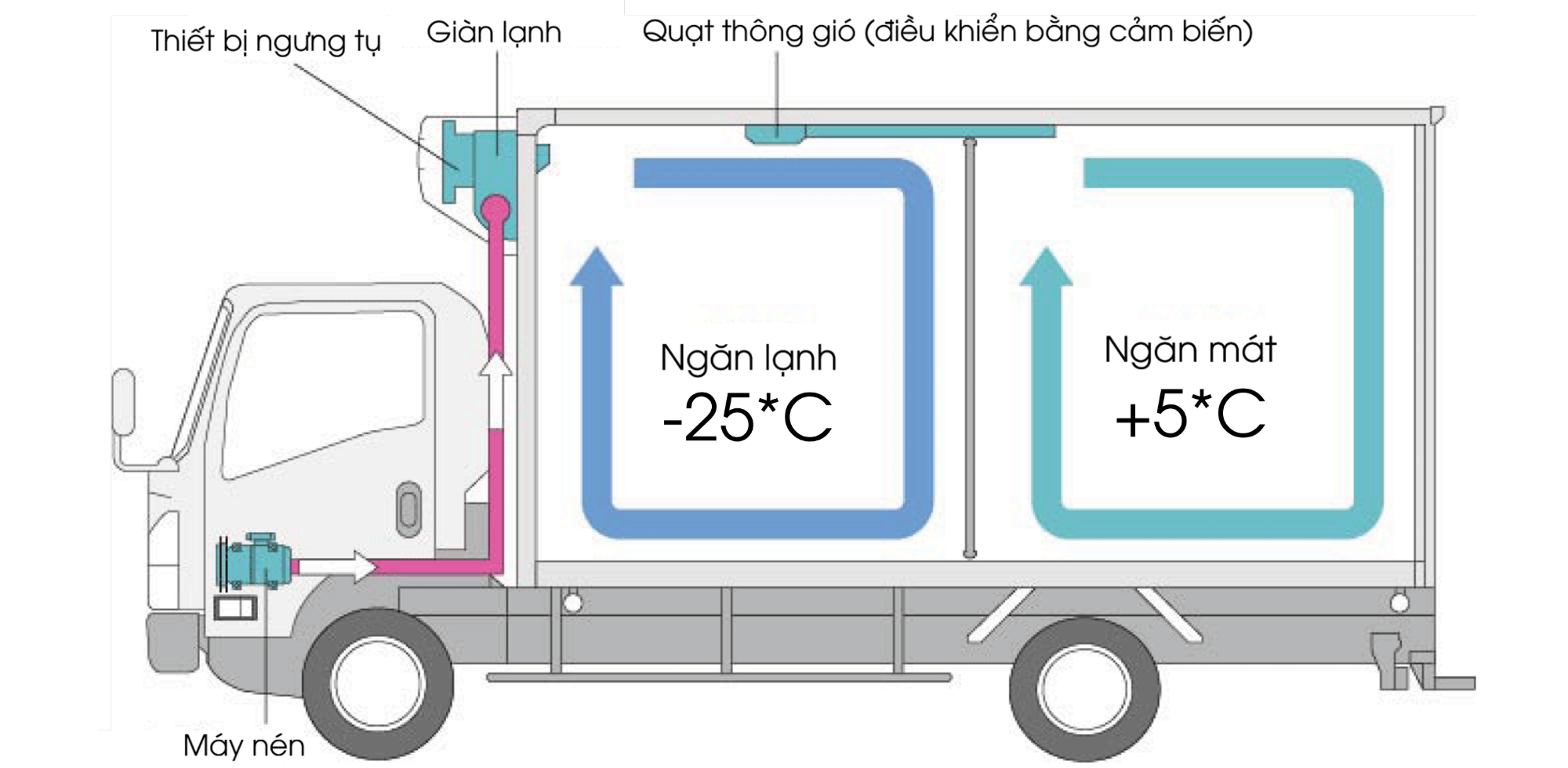 Xe đông lạnh Topre với 2 khoang chứa