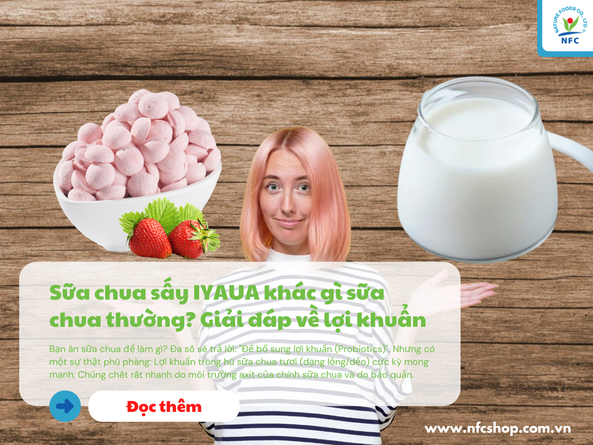 Sữa chua sấy IYAUA khác gì sữa chua thường? Giải đáp về lợi khuẩn (Probiotics)