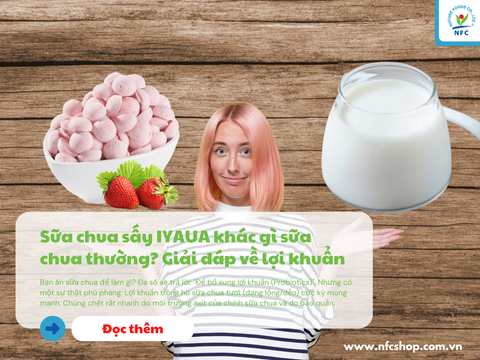 Sữa chua sấy IYAUA khác gì sữa chua thường? Giải đáp về lợi khuẩn (Probiotics)