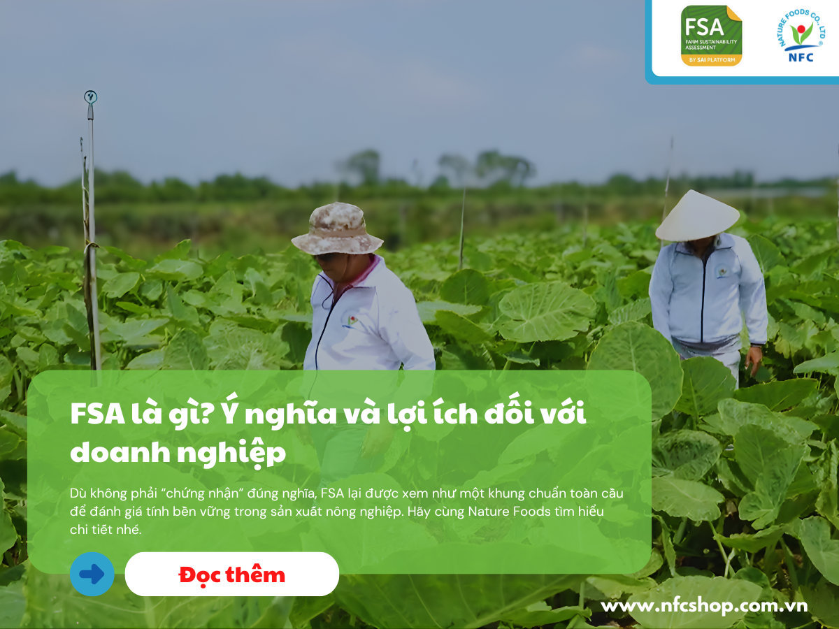 FSA là gì? Ý nghĩa và lợi ích đối với doanh nghiệp