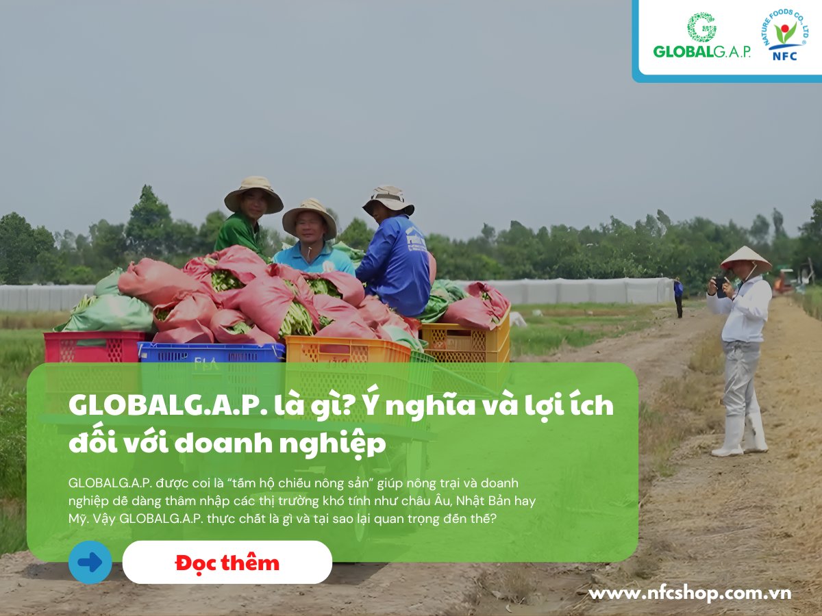 GLOBALG.A.P. là gì? Ý nghĩa và lợi ích đối với doanh nghiệp