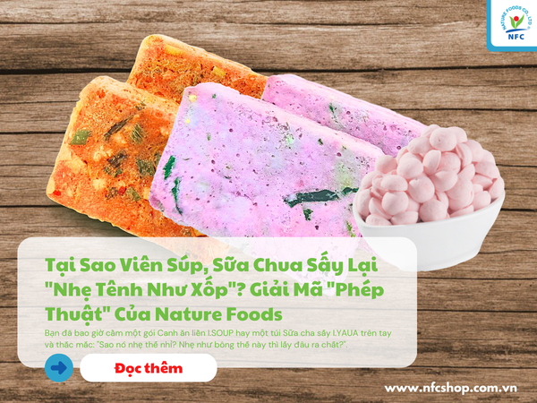 Tại Sao Viên Súp, Sữa Chua Sấy Lại 