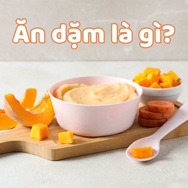 Ăn dặm là gì? Vì sao quan trọng cho sự phát triển của bé