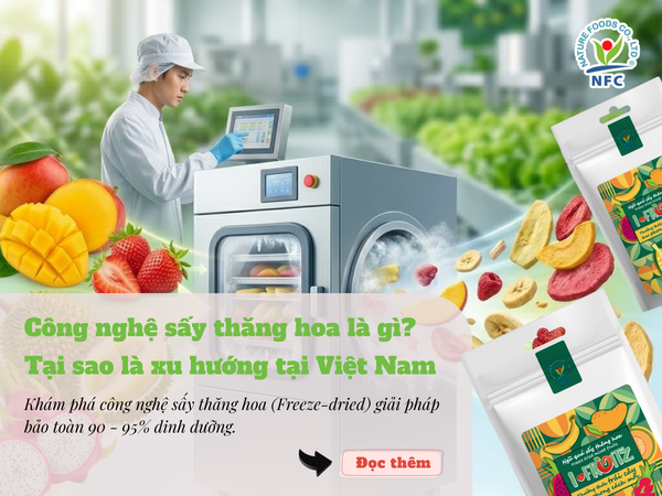 Công nghệ sấy thăng hoa là gì? Tại sao lại là xu hướng mới tại Việt Nam