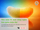 Vén màn bí mật công nghệ bảo quản hiện đại không cần chất bảo quản!