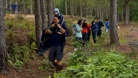 ORGANIZING TREKKING FOR CHILDREN AND FAMILIES: ESSENTIAL TIPS FOR A SAFE JOURNEY
