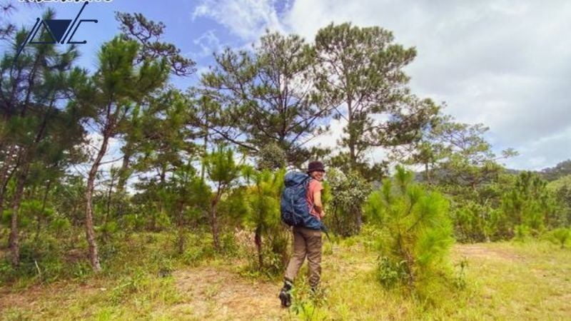 TOP 5 IDEAL TREKKING DESTINATIONS IN SOUTHERN VIETNAM THIS SUMMER