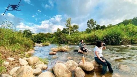 SELF-GUIDED ADVENTURE TRAVEL VS. PROFESSIONAL TOUR PACKAGES: A COMPREHENSIVE COMPARISON