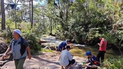 SAFETY GUIDELINES FOR ORGANIZING FOREST TREKKING & MOUNTAIN HIKING