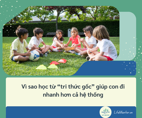 Vì sao học từ “tri thức gốc” giúp con đi nhanh hơn cả hệ thống