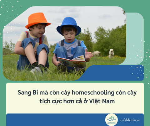 Sang Bỉ mà còn cày homeschooling còn cày tích cực hơn cả ở Việt Nam