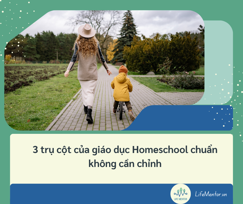 3 trụ cột của giáo dục Homeschool chuẩn không cần chỉnh