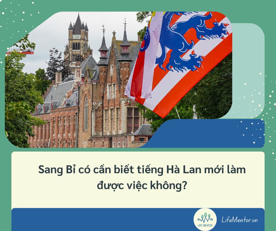 Sang Bỉ có cần biết tiếng Hà Lan mới làm được việc không?