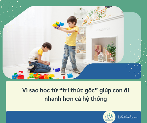 Vì sao học từ “tri thức gốc” giúp con đi nhanh hơn cả hệ thống