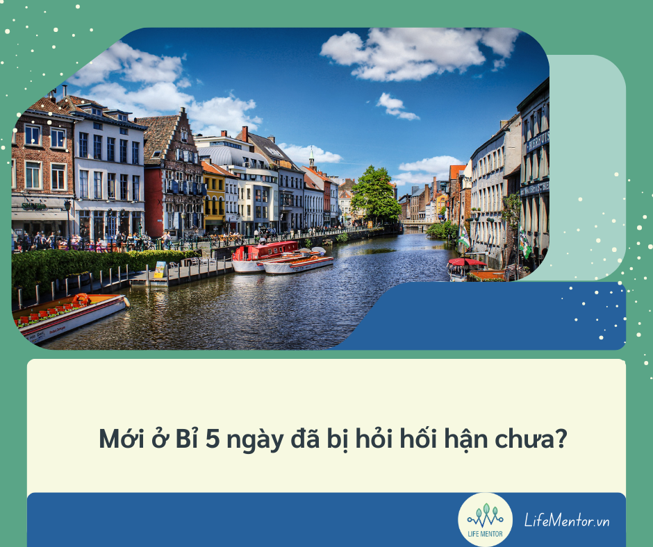 Mới ở Bỉ 5 ngày đã bị hỏi hối hận chưa?
