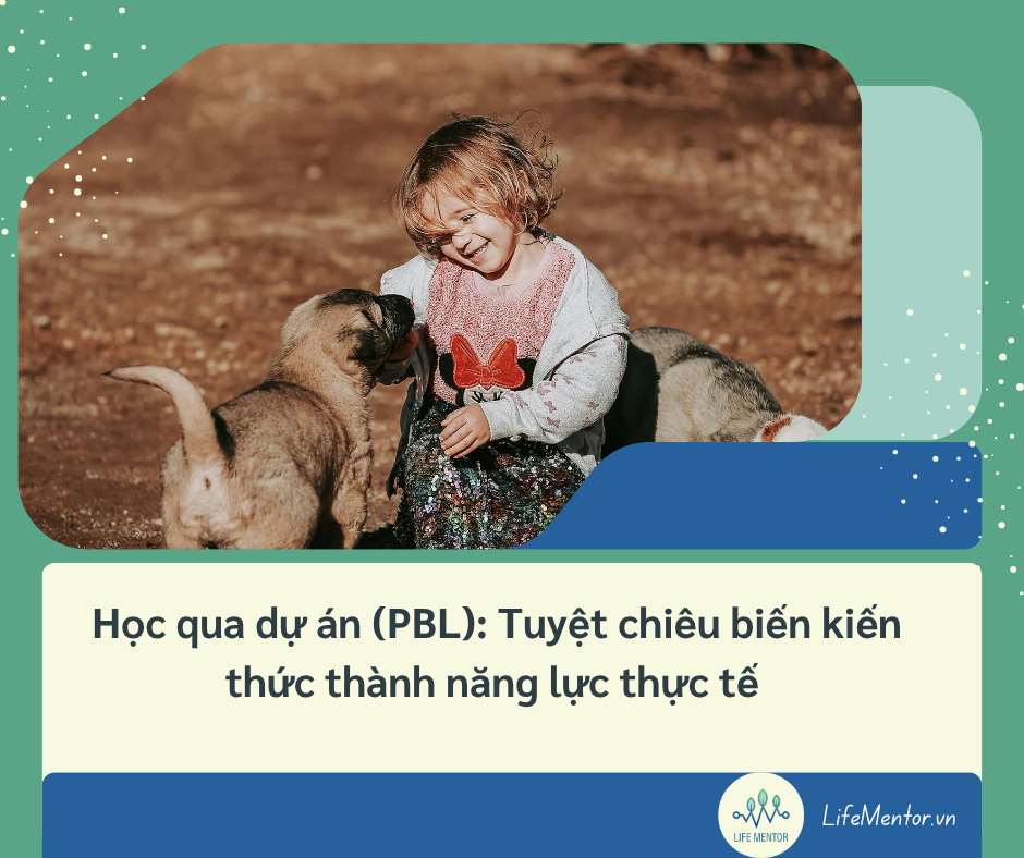 Học qua dự án (PBL): Tuyệt chiêu biến kiến thức thành năng lực thực tế
