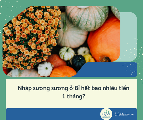 Nháp sương sương ở Bỉ hết bao nhiêu tiền 1 tháng?