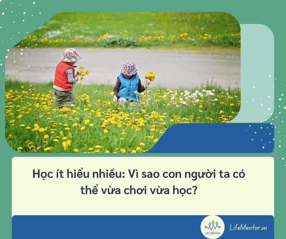 Học ít hiểu nhiều – Vì sao con người ta có thể vừa chơi vừa học?
