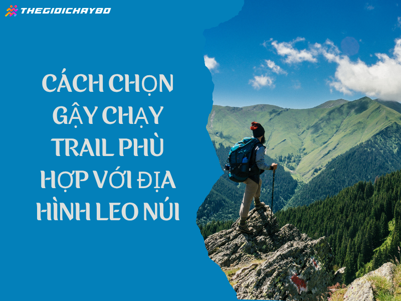 Cách chọn gậy chạy trail phù hợp với địa hình leo núi