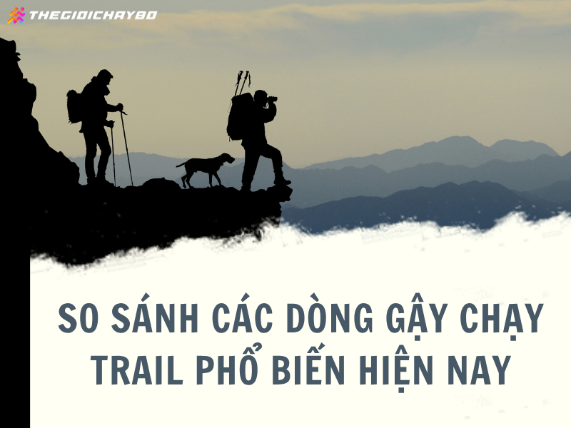 So sánh các dòng gậy chạy trail phổ biến hiện nay