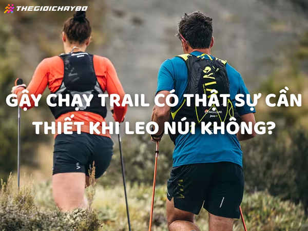 Gậy chạy trail có thật sự cần thiết khi leo núi không?