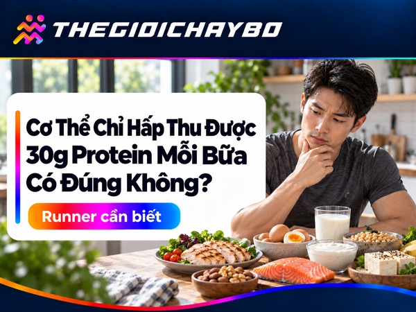 Cơ Thể Chỉ Hấp Thu Được 30g Protein Mỗi Bữa Có Đúng Không?