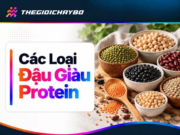 Đậu Giàu Protein: Bảng Đậu Gà, Đậu Lăng Và Các Loại Đậu