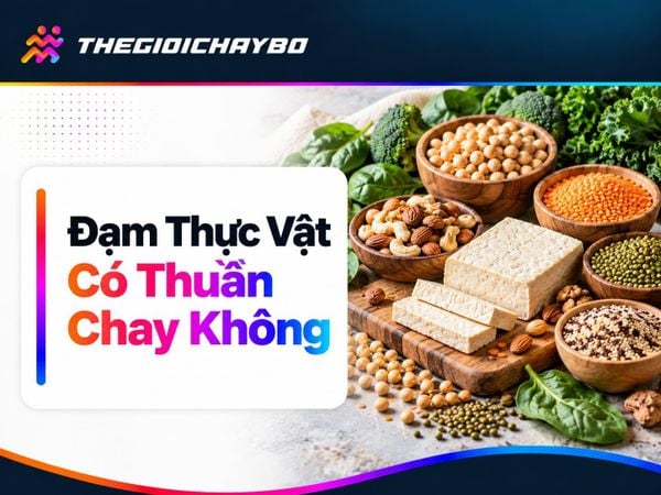Đạm Thực Vật Có Đồng Nghĩa Thuần Chay? Cách Kiểm Tra Nhãn