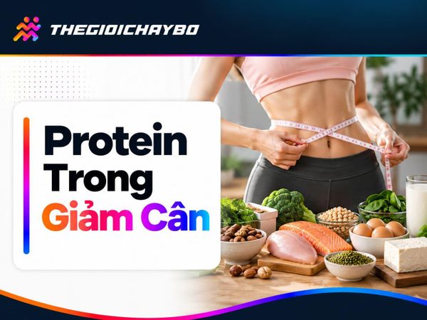 Protein Trong Giảm Cân: Vai Trò Và Cách Cân Đối Khẩu Phần