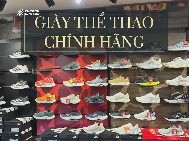 Giày Thể Thao Chính Hãng Được Ưa Chuộng Nhất 2025