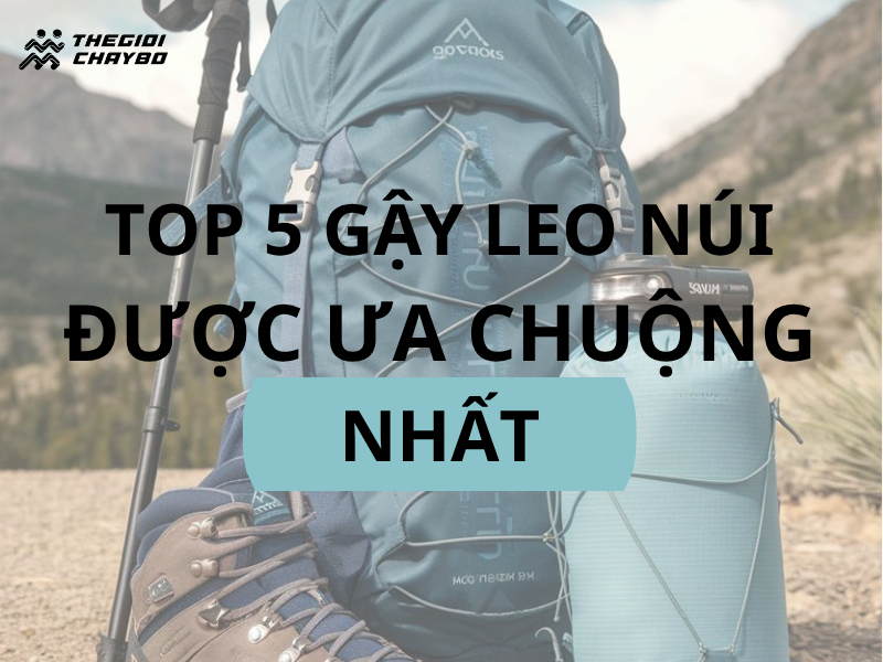 Top 7 Gậy Leo Núi Gấp Gọn Được Ưa Chuộng Nhất 2025
