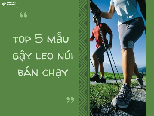 Gậy Leo Núi Loại Nào Tốt? So Sánh 5 Mẫu Bán Chạy Nhất