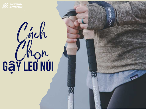 Hướng Dẫn Chọn Gậy Leo Núi Cho Người Mới Bắt Đầu