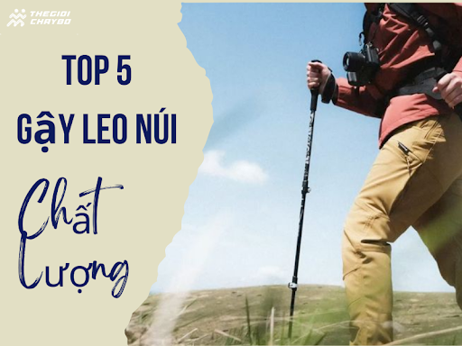 5 Mẫu Gậy Leo Núi Giá Rẻ Nhưng Chất Lượng Vượt Mong Đợi