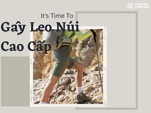 Gậy Leo Núi Cao Cấp Có Gì Khác Biệt? Đáng tiền không?