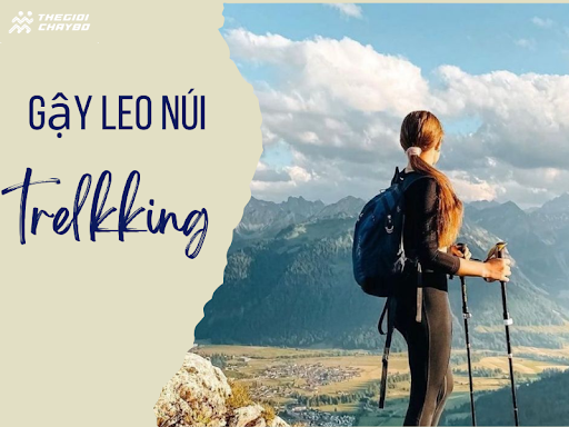 Gợi Ý Gậy Leo Núi Trekking Đường Dài Bền Nhẹ, Dễ Sử Dụng